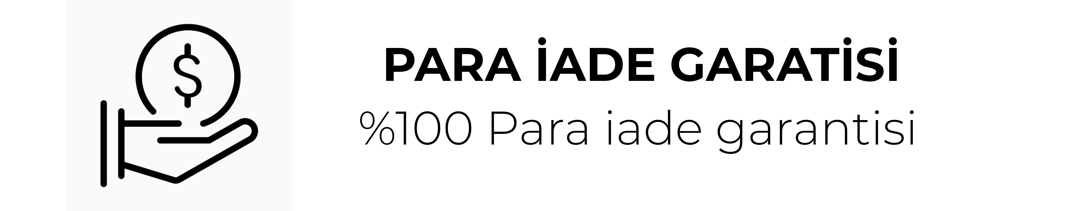 Banner 11
